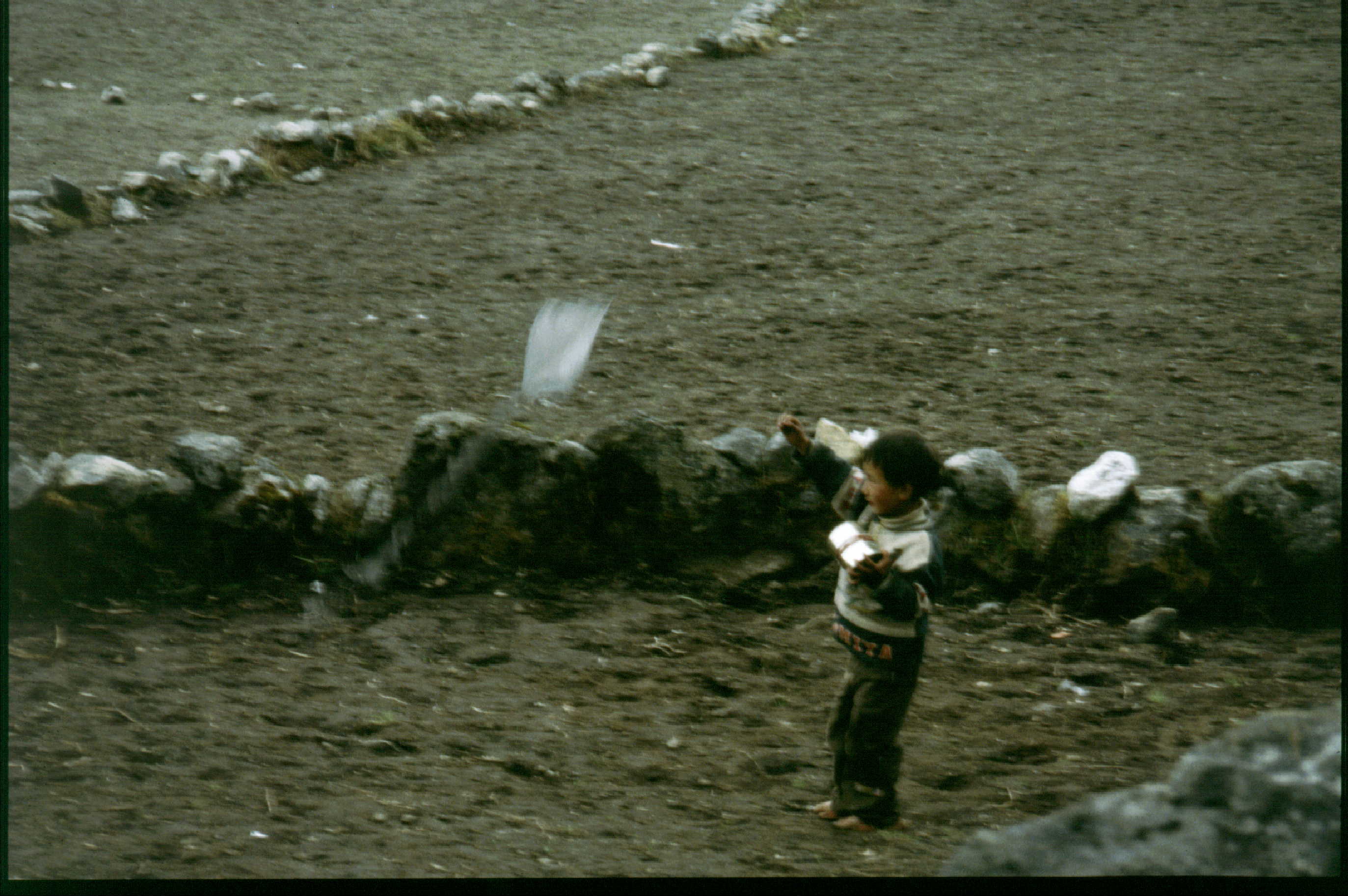 Bin02S18 -  Boy & Kite.jpg